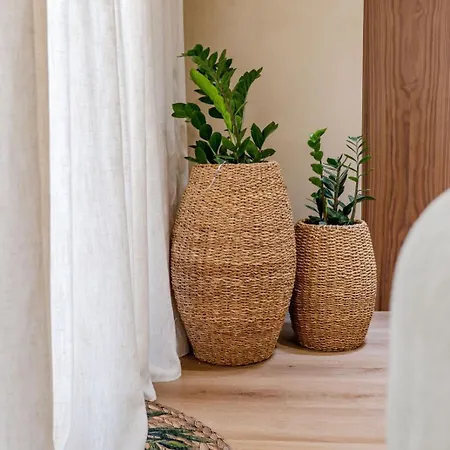 Olive Dune Apartment